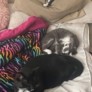 Meet your Posher, Malcolm